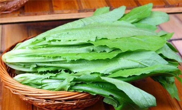 油麦菜的功效与作用,吃油麦菜的注意事项