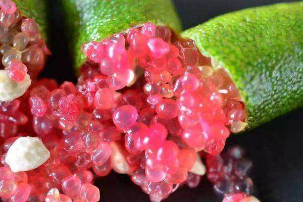 澳洲指橙多少钱一斤,澳洲指橙中国哪里有卖