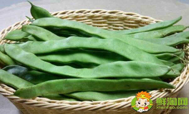 扁豆什么品种好,最大的扁豆品种