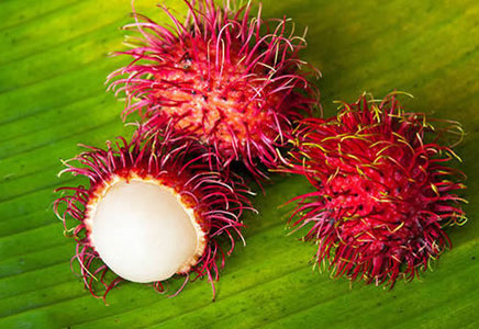 红毛丹怎么吃,食用红毛丹的注意事项