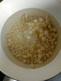 水果拼盘图片及做法生肖马,不一样的马