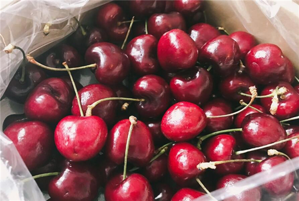 车厘子图片,车厘子和樱桃的区别