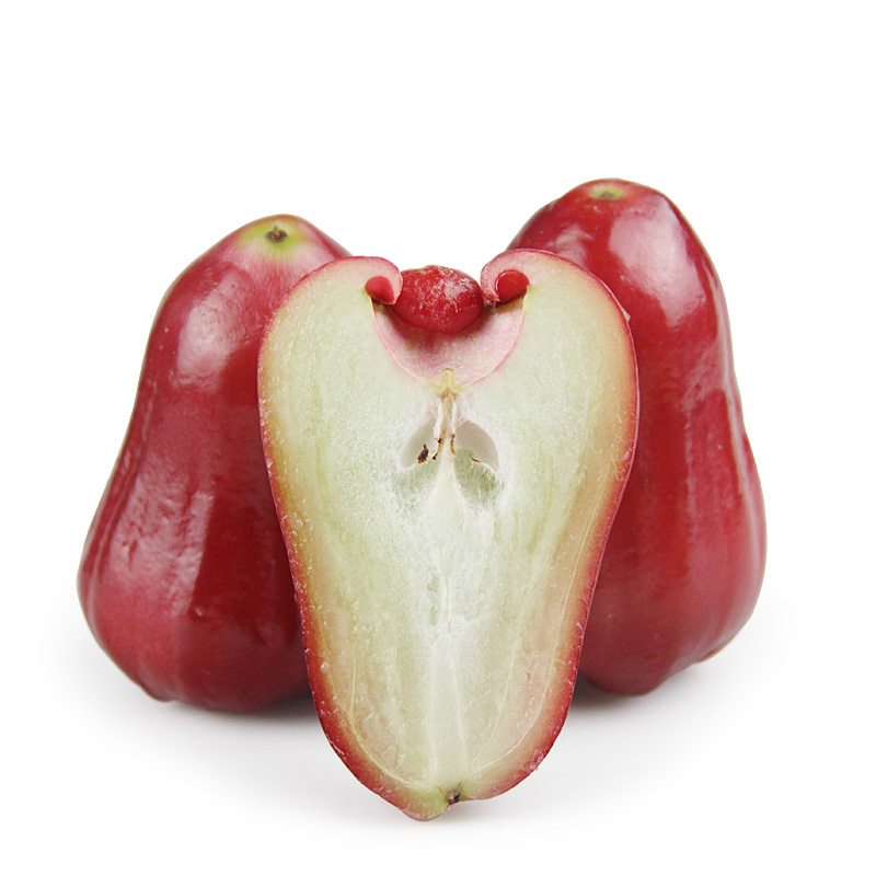 莲雾图片大全大图,新鲜莲雾图片集