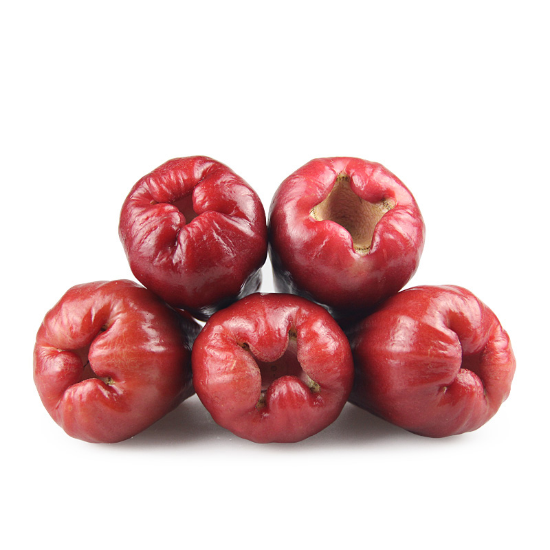 莲雾图片大全大图,新鲜莲雾图片集