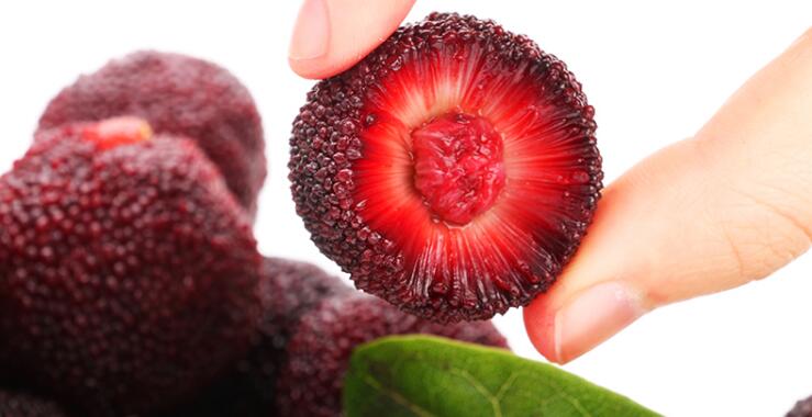 高清杨梅图片大全,颜值高的杨梅图片