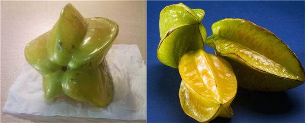 杨桃为什么是五角星形的,杨桃外形由基因决定