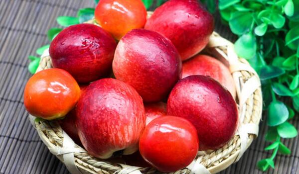 黄桃与桃子有什么区别,外观和成熟时间不同