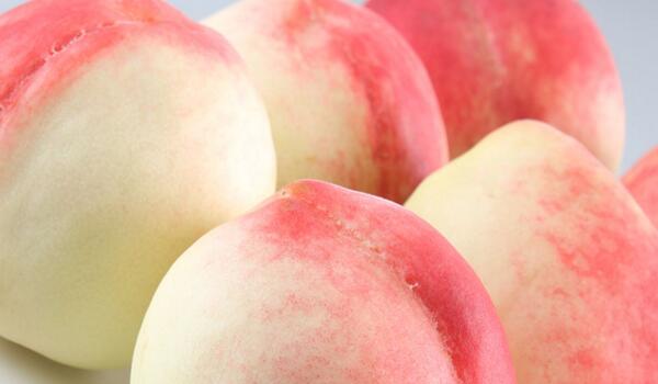 黄桃与桃子有什么区别,外观和成熟时间不同