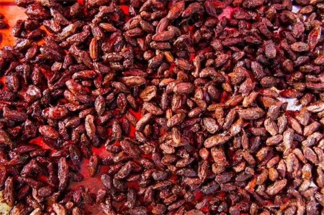 羊奶果食品图片,羊奶果制成果酱和蜜饯图片