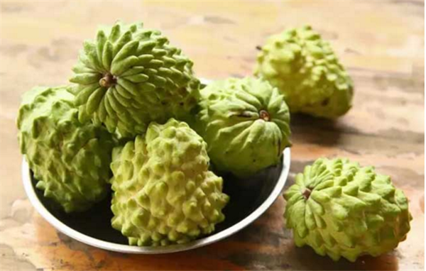 释迦果哪里产的好吃,释迦果的产地在哪