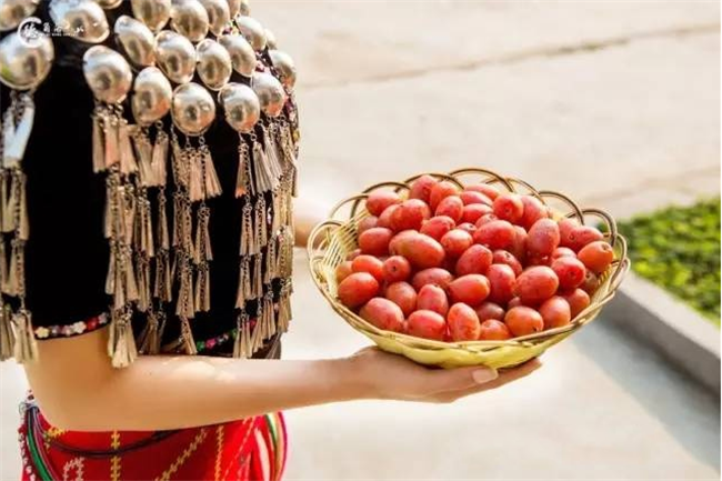 羊奶果的产地是哪里,羊奶果是西南地区特产