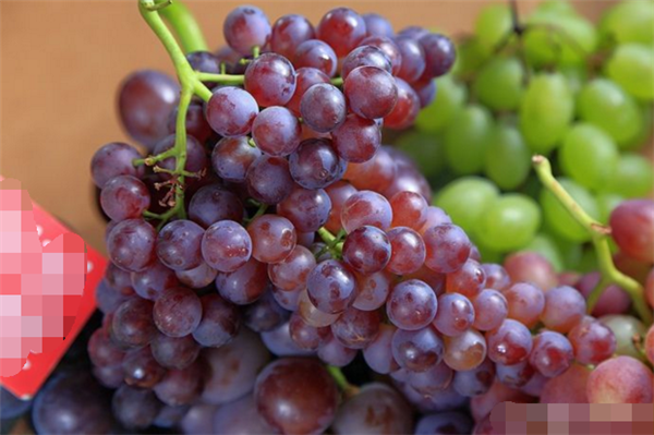 选购葡萄的方法大全,选购葡萄先看品种再看果粒间隙