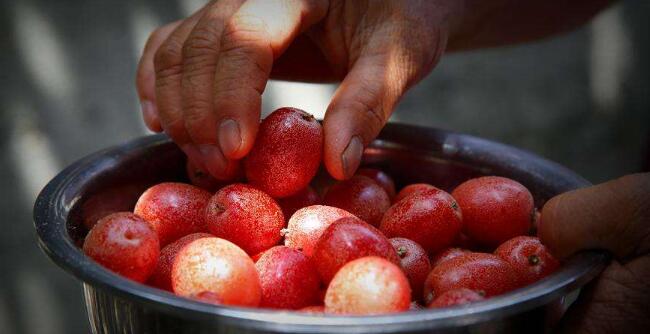 羊奶果好吃吗,羊奶果怎么吃,羊奶果图片步骤三种做法