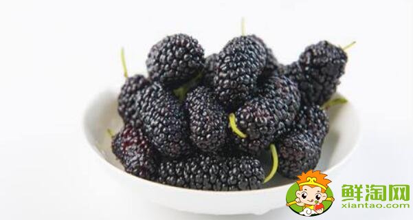 孕妇可以吃桑葚吗(孕妇能吃桑葚十颗最多),吃桑葚有什么好处