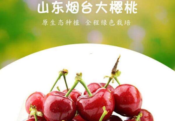鸡心樱桃是什么品种,鸡心樱桃山东烟台地区位列第三位