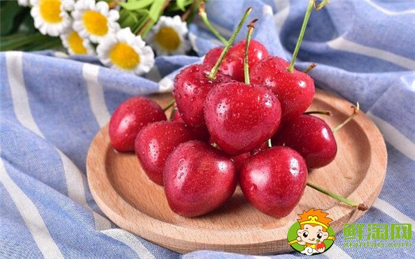 最大的樱桃是什么品种，特大樱桃品种排名