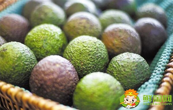 牛油果怎么挑，牛油果吃大个还是小个