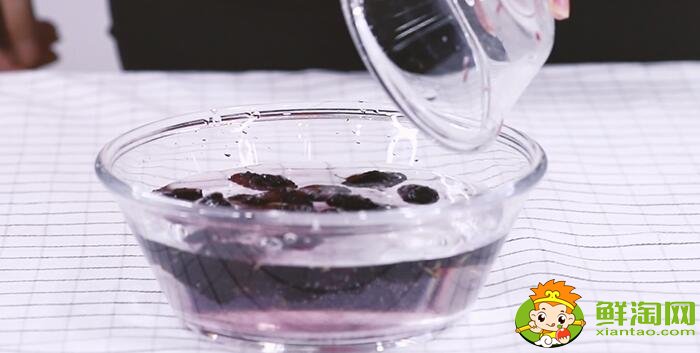 一斤桑葚泡几斤白酒