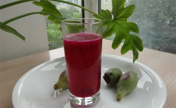 仙人掌果泡水能泡几天,仙人掌果泡水的功效