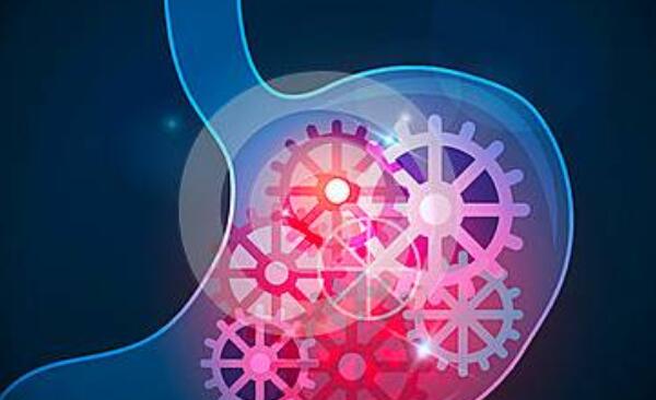 仙人掌果泡水有什么功效,仙人掌果泡水的功效与作用