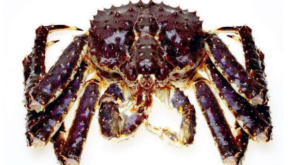 帝王蟹是螃蟹吗,帝王蟹是世界上最大的螃蟹吗