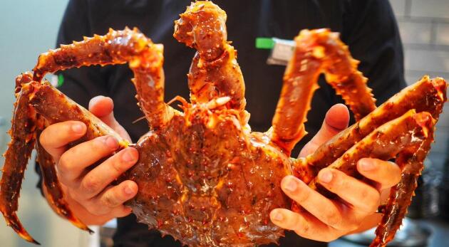 帝王蟹和皇帝蟹一样吗,帝王蟹和皇帝蟹的区别