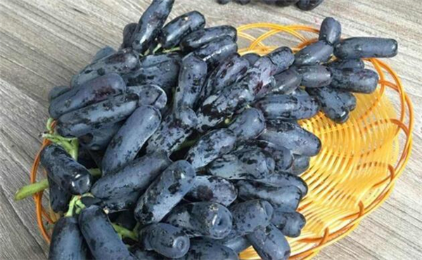 蓝宝石葡萄多少钱一斤,蓝宝石葡萄价格