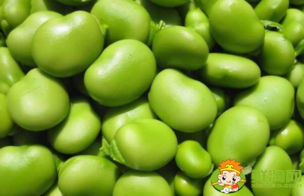 蚕豆和毛豆是一样的吗,毛豆与蚕豆的区别