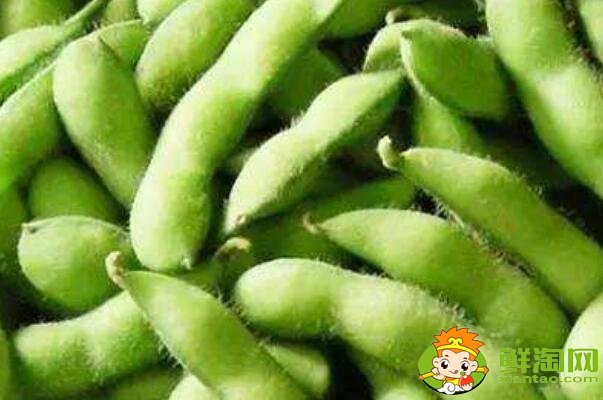 蚕豆和毛豆是一样的吗,毛豆与蚕豆的区别
