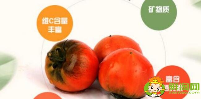 正宗铁皮柿子产地是哪里,丹东铁皮柿子什么时候上市