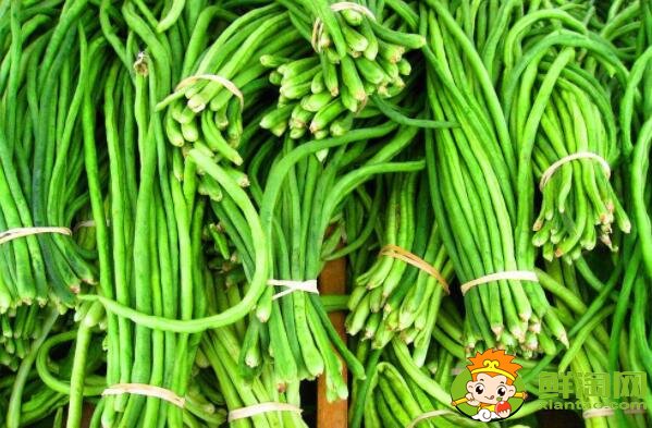 豇豆怎么挑选嫩的,怎样挑选白豇豆