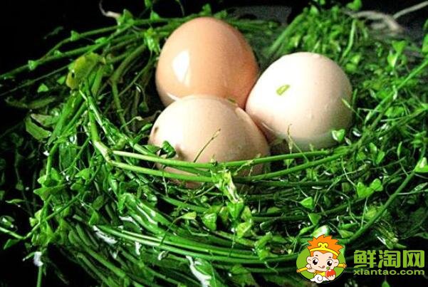 地菜花有几种颜色,菜花一年可种几次