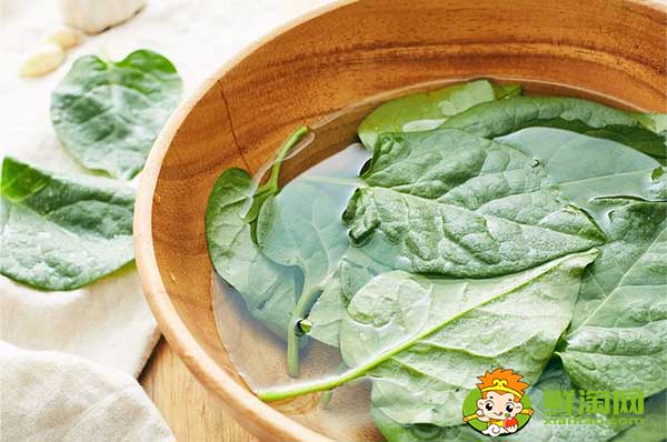 木耳菜如何过冬,木耳菜第二年还能长吗