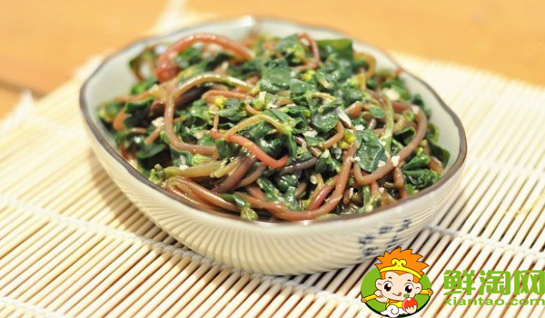 马齿苋为什么叫长寿菜,黑色长寿菜就是马齿苋吗