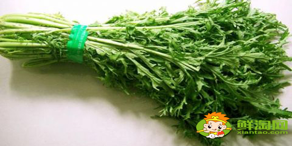 雪里蕻菜长什么样,雪里红和雪里蕻的区别