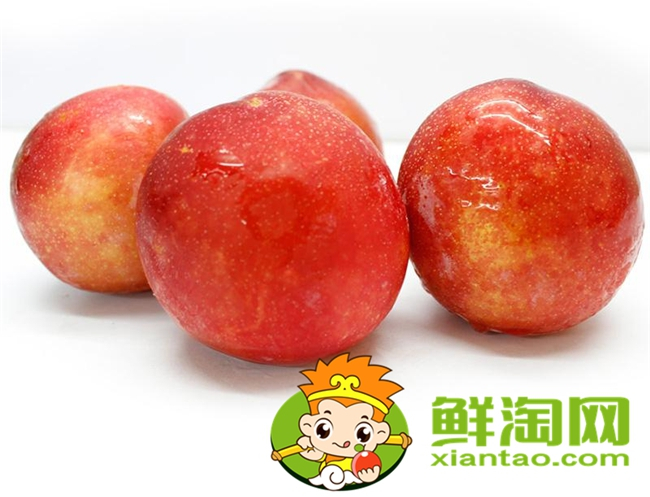 红布林怎么选,红布林怎么保存