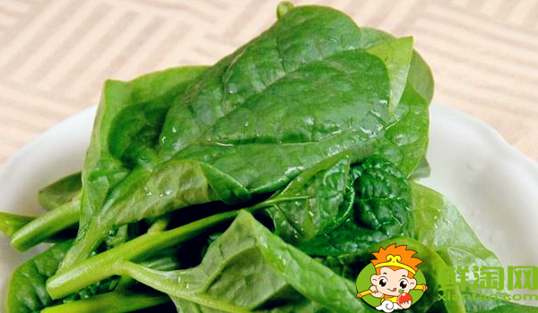 木耳菜什么时候可以吃,木耳菜能吃到什么时候