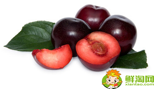 黑布林怎么吃,黑布林要软了才能吃吗