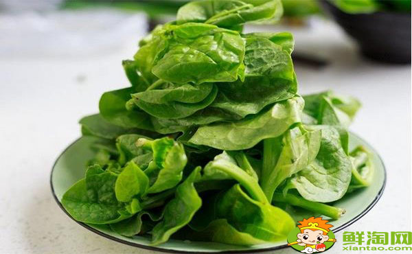 木耳菜的梗能吃吗,木耳菜的根多长