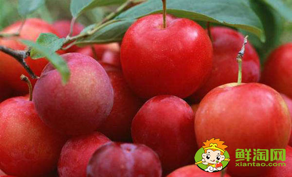 红布林怎么吃不酸,红布林一天可以吃几个