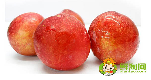 红布林怎么吃不酸,红布林一天可以吃几个