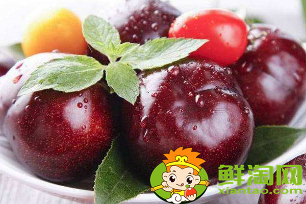 黑布林和黑布李一样吗,黑布李和黑布林的区别