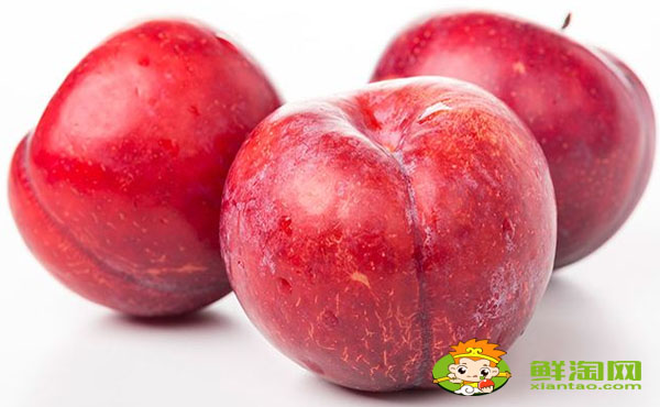 黑布林孕妇可以吃吗,黑布林和红布林哪个有营养