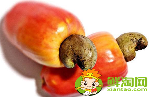 腰果最大的产地是哪里,腰果哪里产的质量最好