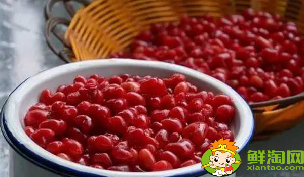 杈杷果适合生长温度,叉八果与杈杷果的区别