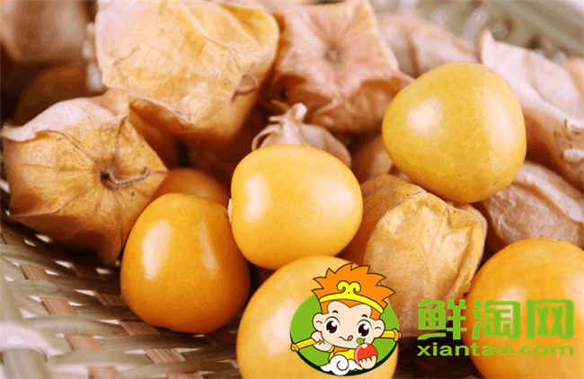 姑娘果是什么味道,姑娘果口感怎么样