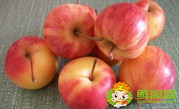 沙果哪种最酸,什么品种的沙果好吃