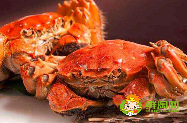 活帝王蟹怎么能养几天,帝王蟹红的和蓝哪个贵