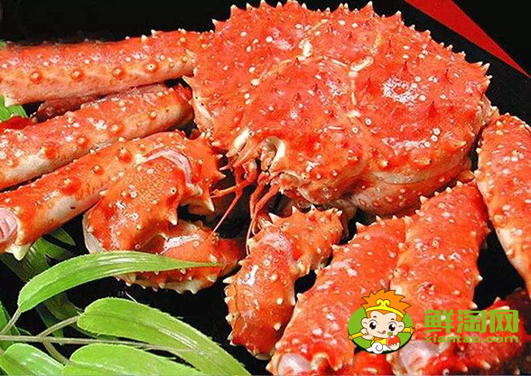 活帝王蟹怎么能养几天,帝王蟹红的和蓝哪个贵