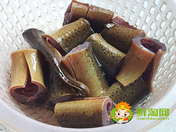 小黄鳝怎么杀图解,黄鳝怎么杀最快最好